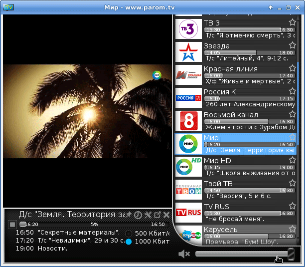 Установка приложения Parom.TV в Debian 8.5