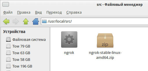 Распаковка архива Ngrok в Xubuntu