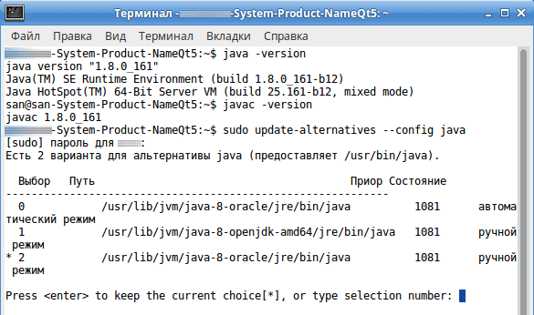Установка OracleJDK8